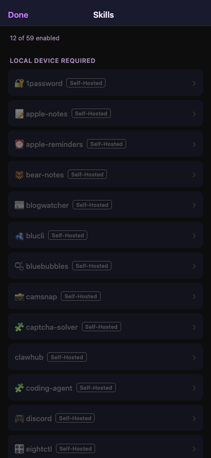 AgentSME Skills on iOS